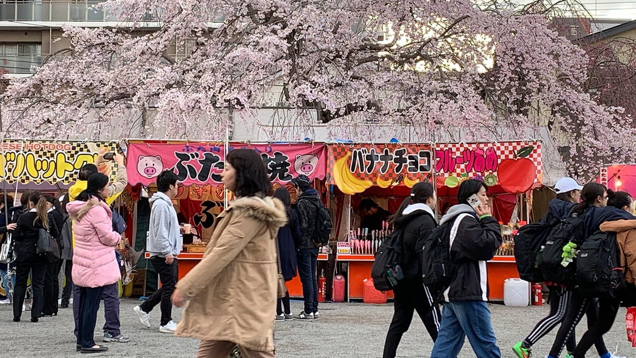 cokoguri - Sakura and Hanami Street Food