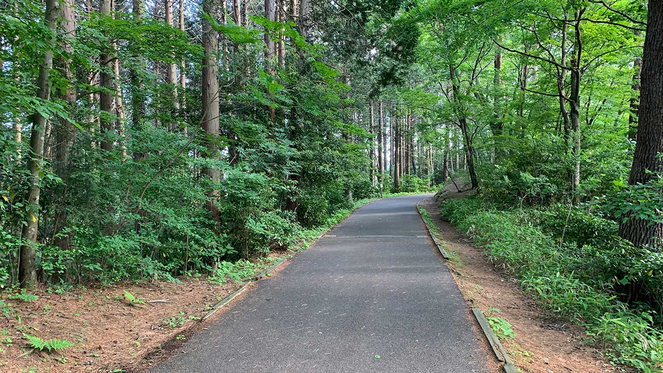 cokoguri - Loop Through Dainahara Shinrin Koen - Forest Path