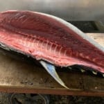 cokoguri - Shiogama Seafood Wholesale Market - Maguro Tuna on Cart
